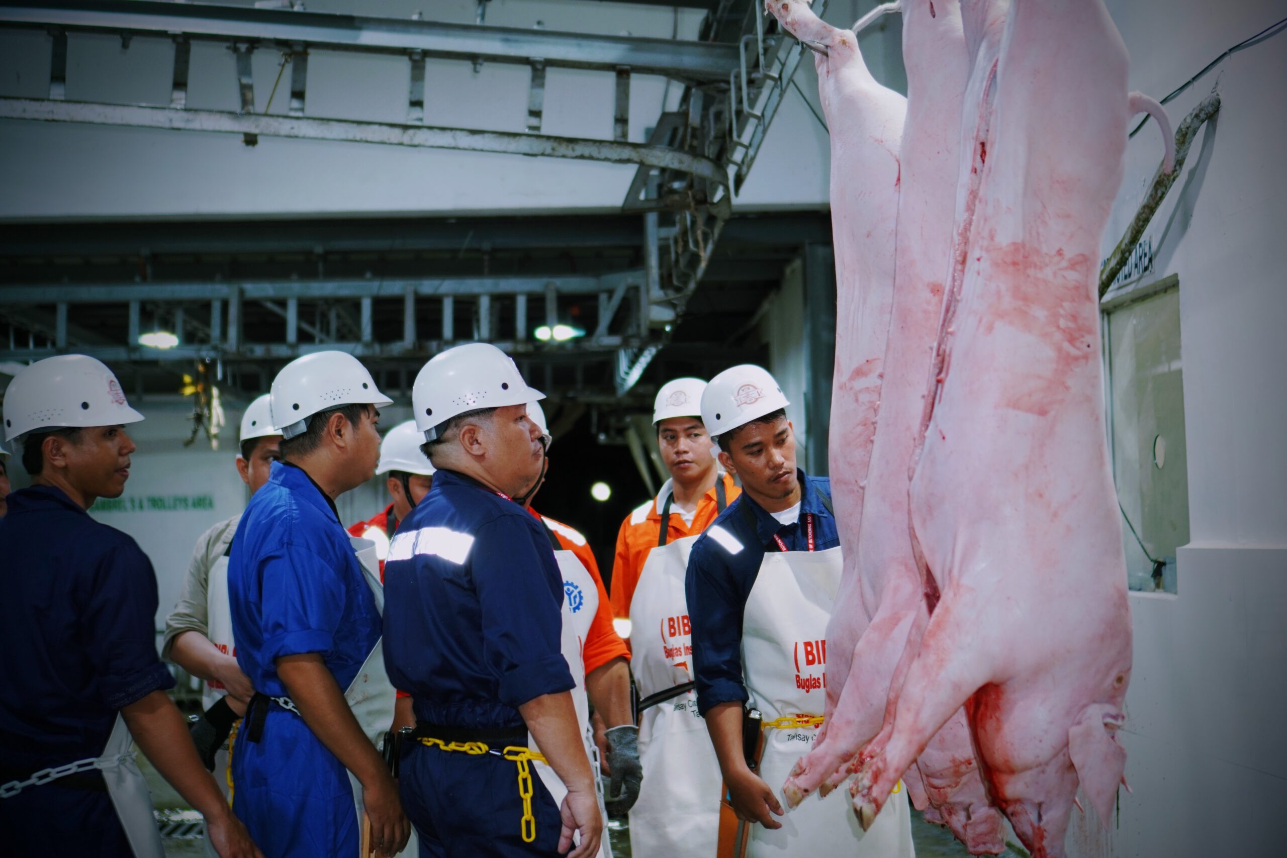 Slaughtering
