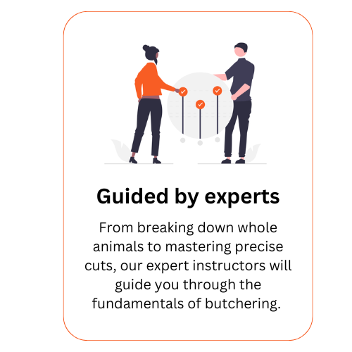 Guided by experts Guided by experts