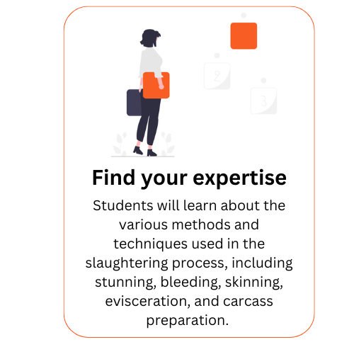 Find your expertise Find your expertise
