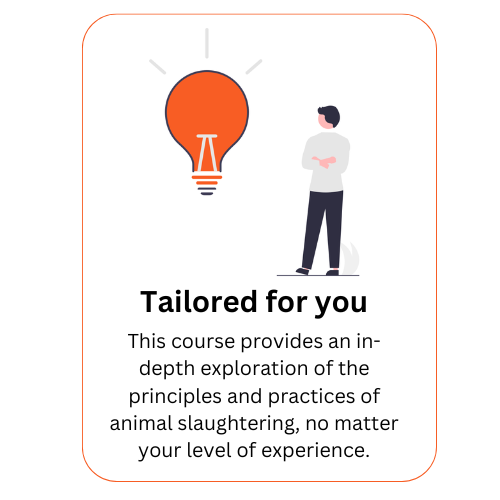 Tailored For You Tailored For You